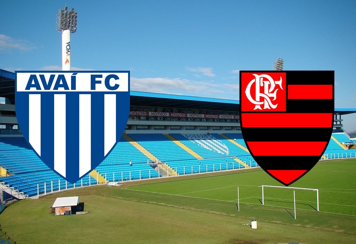 Avaí X Flamengo: Palpite, Prognóstico E Transmissão Do Brasileirão ...