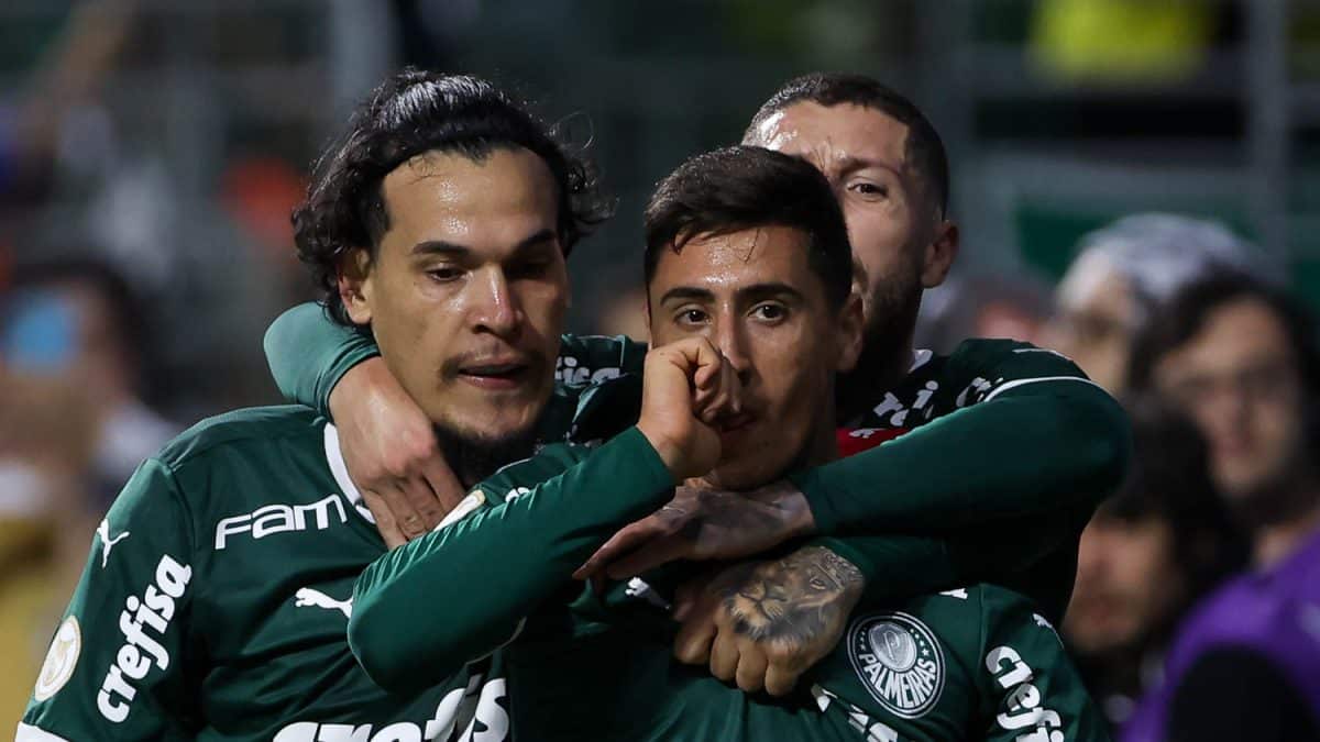 Palmeiras Vence Santos: Confira Os Melhores Momentos - Minha Torcida