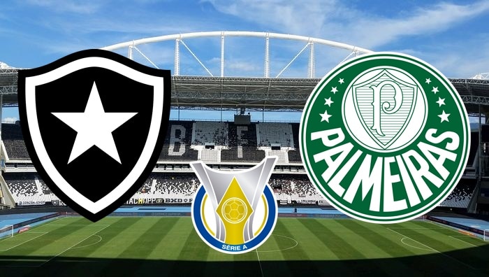 Botafogo x Palmeiras: onde assistir ao vivo, horário e escalação