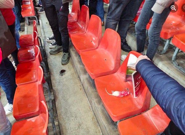 INACREDITÁVEL! Ratos mortos são atirados na torcida adversária em jogo